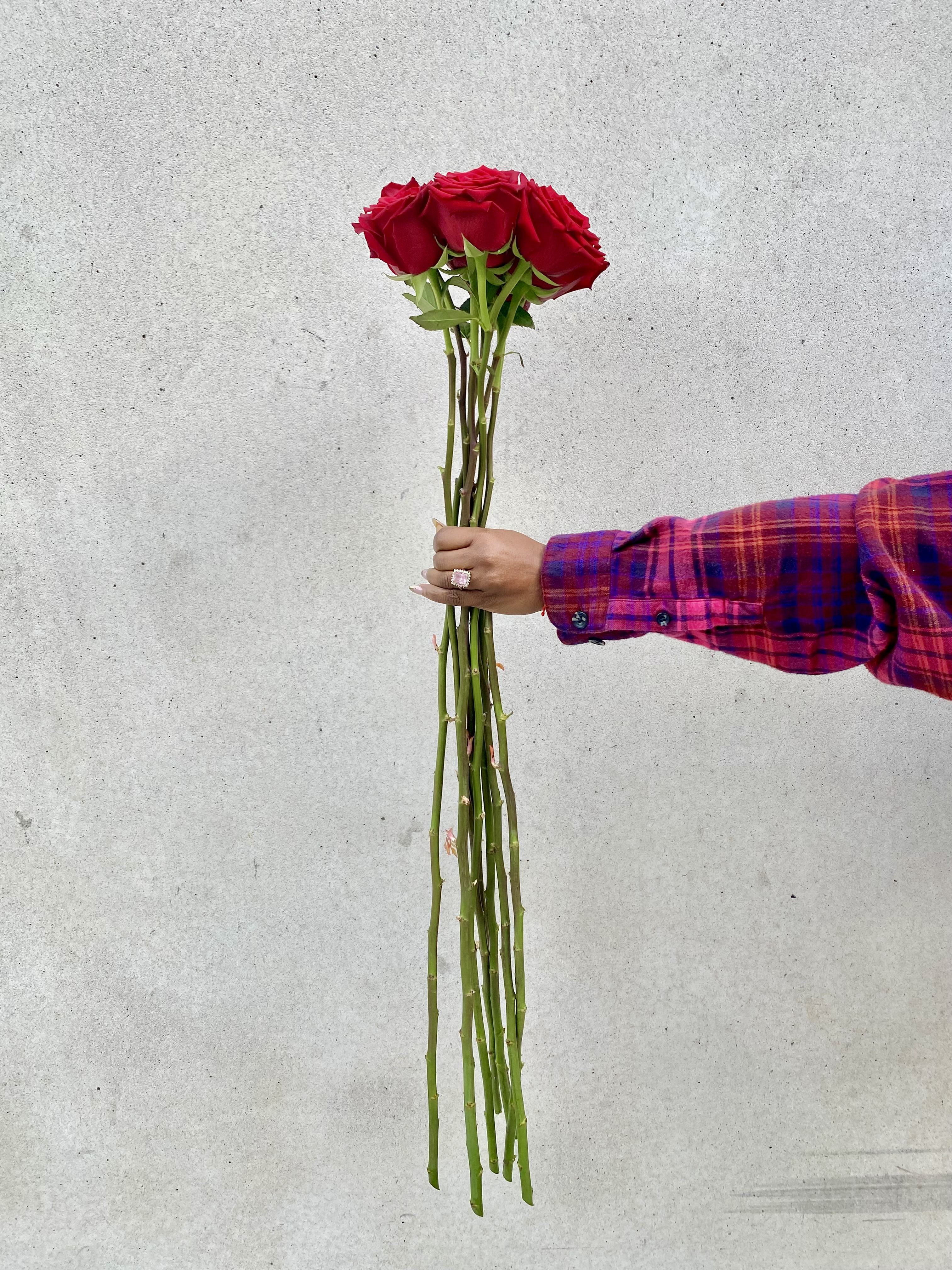 Luxury Roses & Bouquets