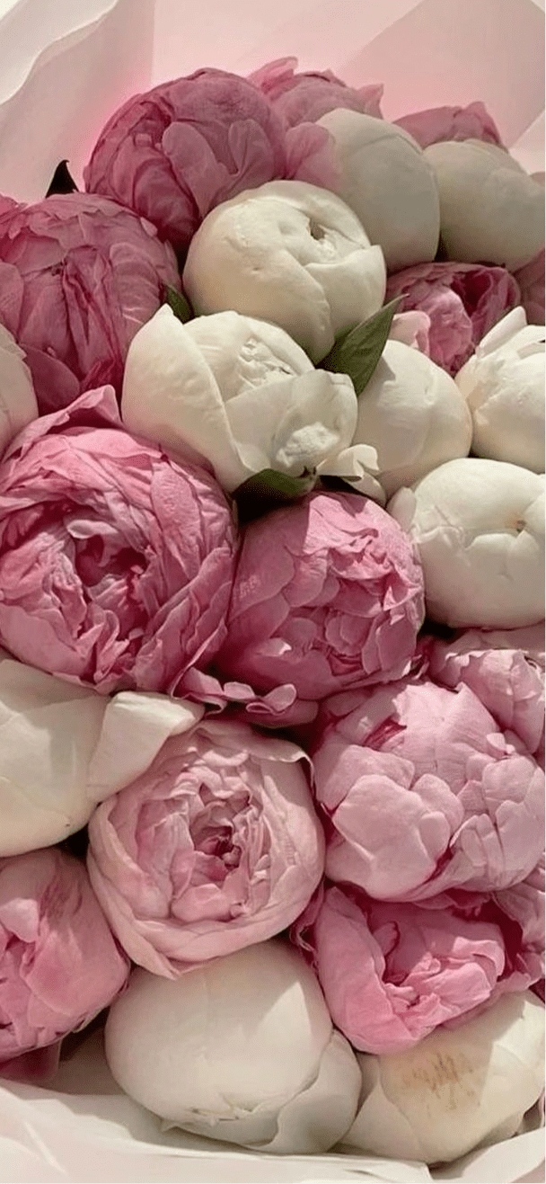 Perfectly Peonies ** Same day IF ordered by Noon EST