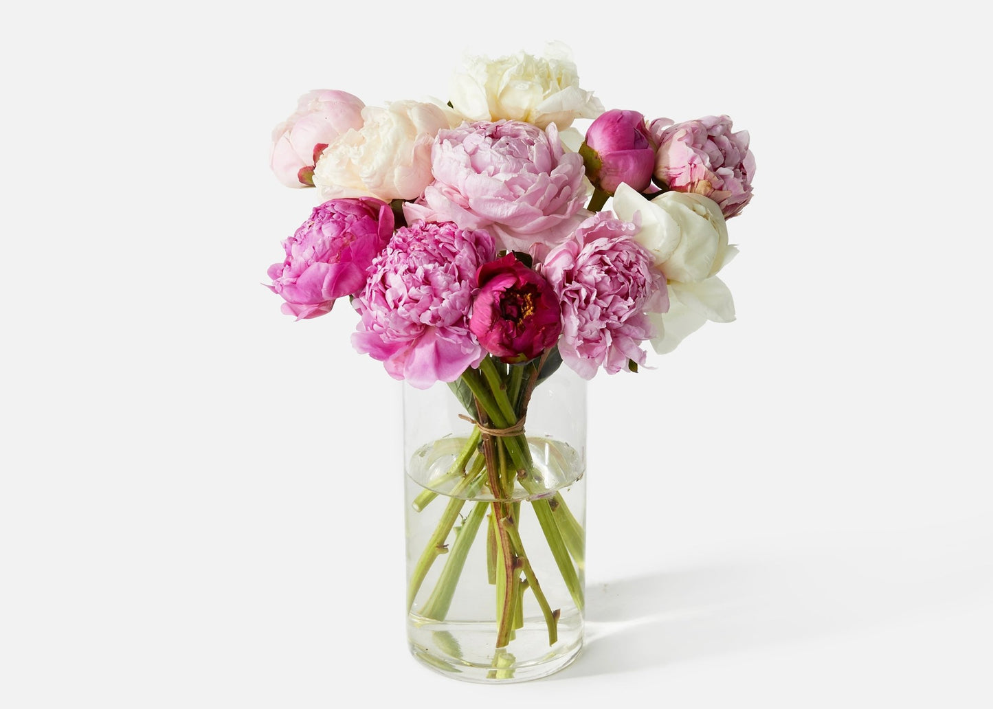 Perfectly Peonies ** Same day IF ordered by Noon EST