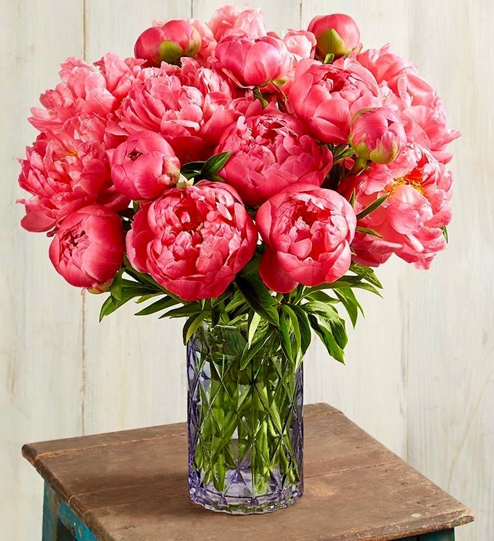 Perfectly Peonies ** Same day IF ordered by Noon EST