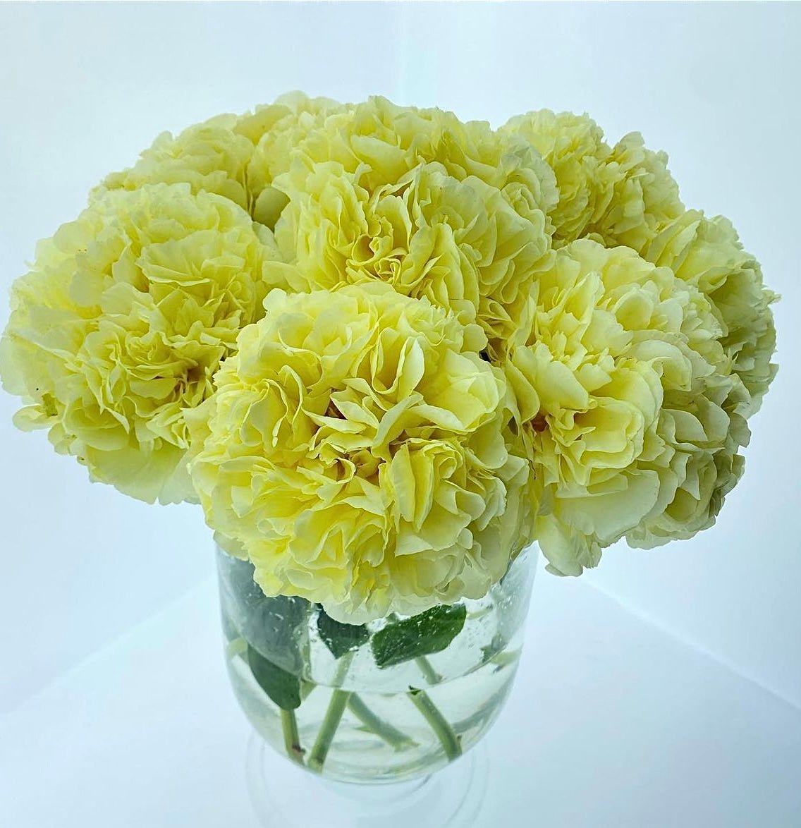 Perfectly Peonies ** Same day IF ordered by Noon EST