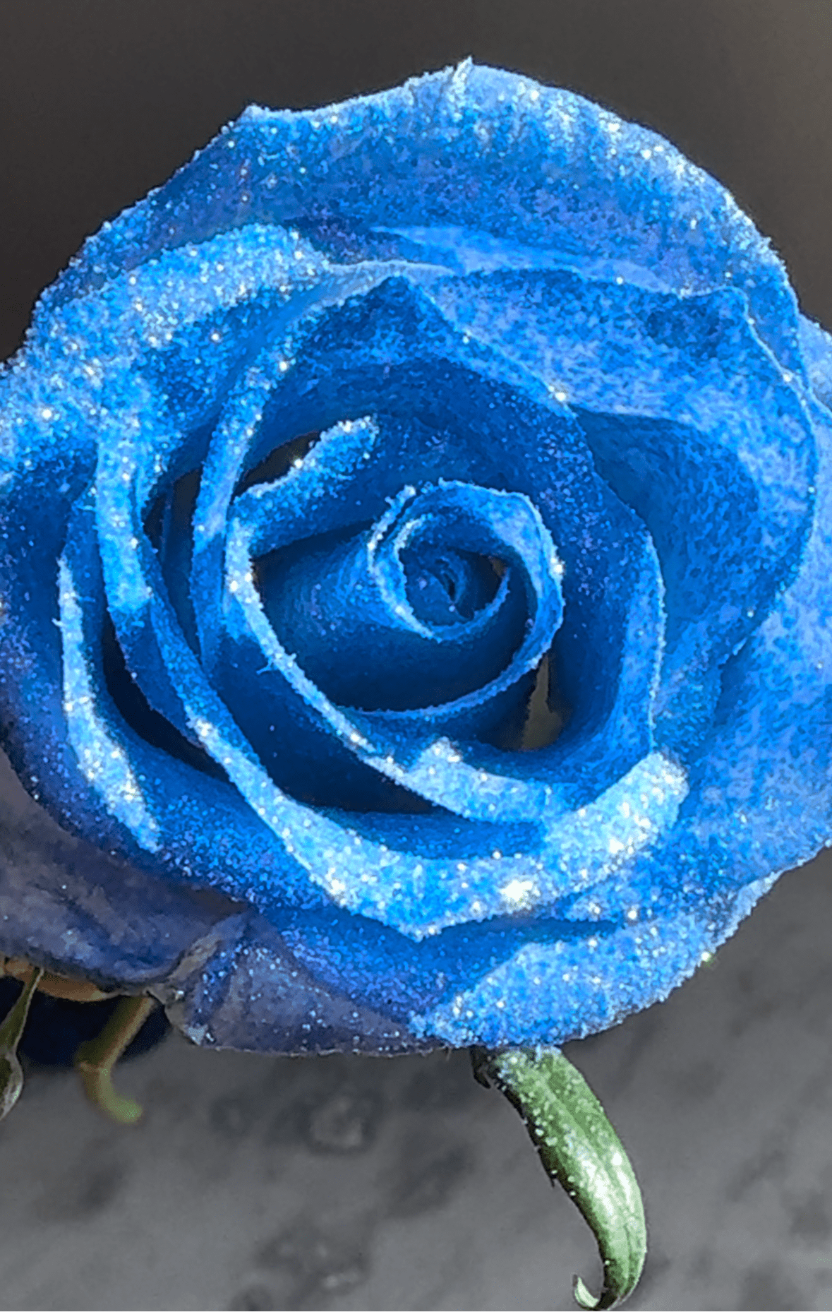 Glitter Roses