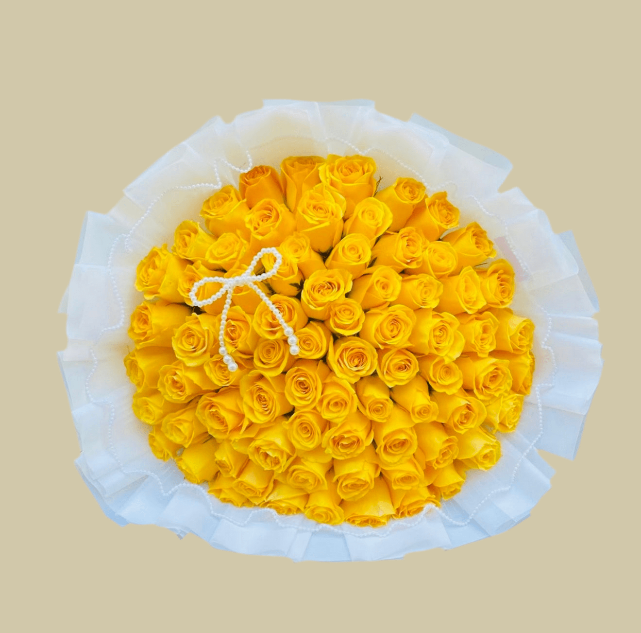 Yellow Rose