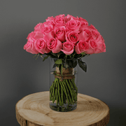 Timeless Rose