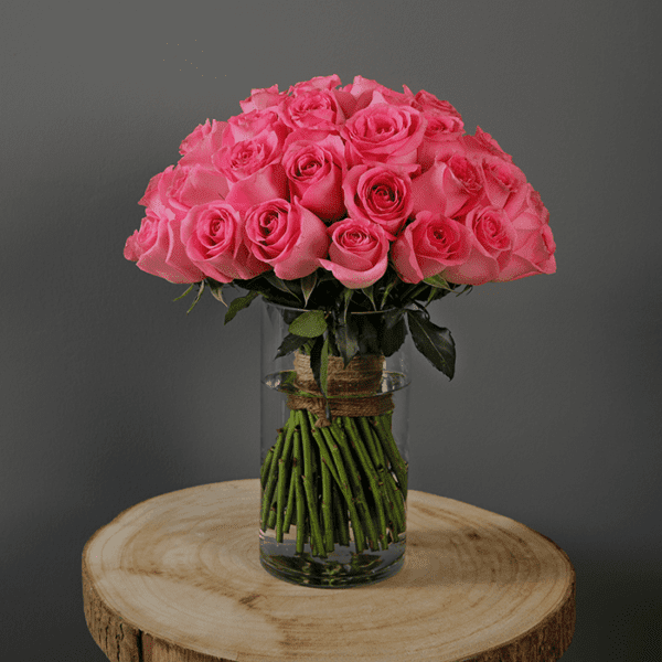 Timeless Rose
