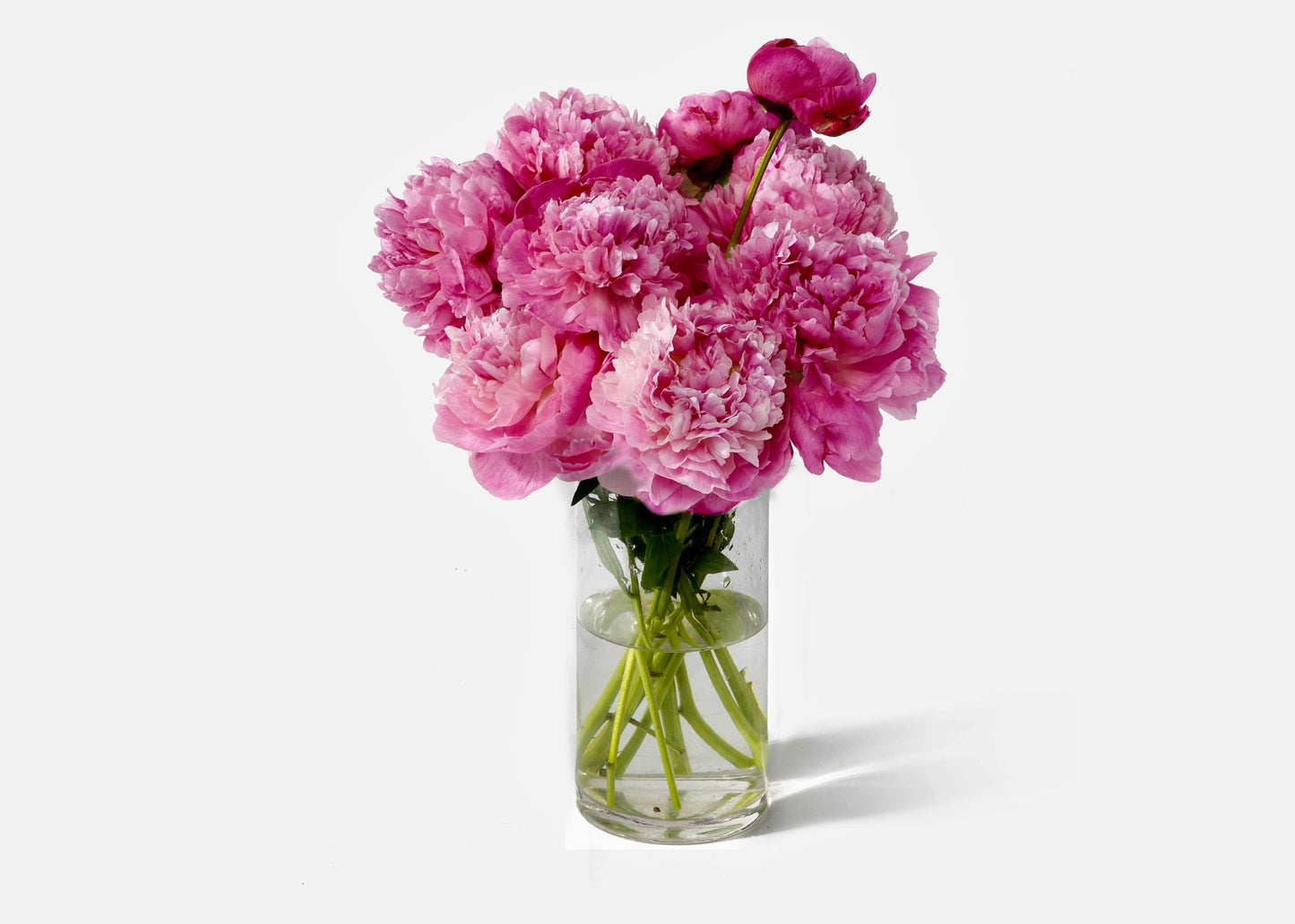 Perfectly Peonies ** Same day IF ordered by Noon EST