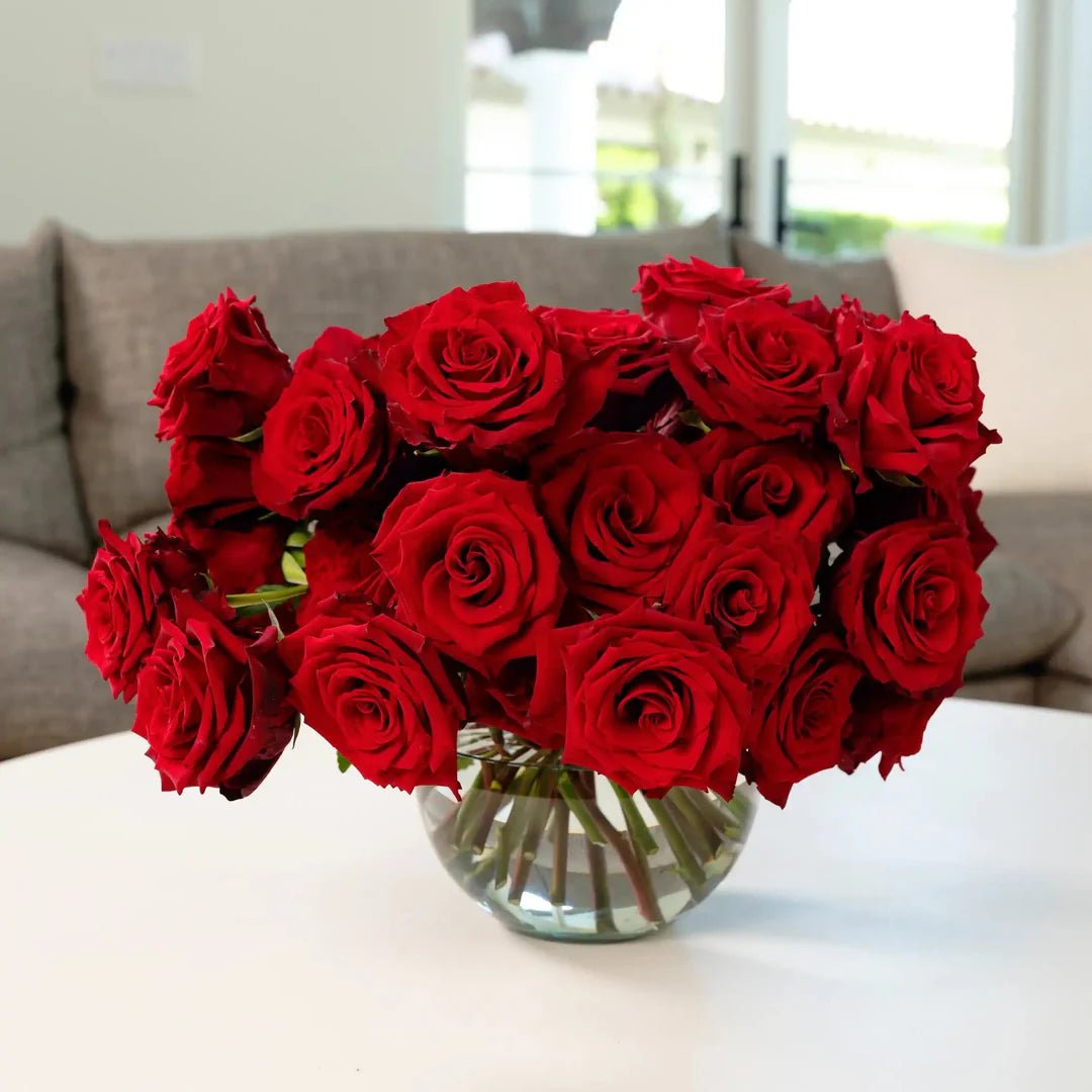 Timeless Rose