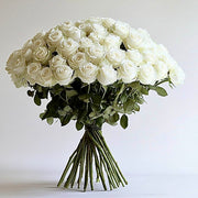 White Rose