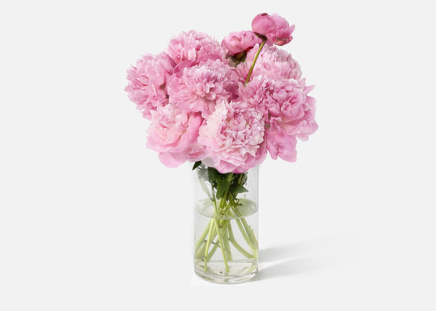 Perfectly Peonies ** Same day IF ordered by Noon EST