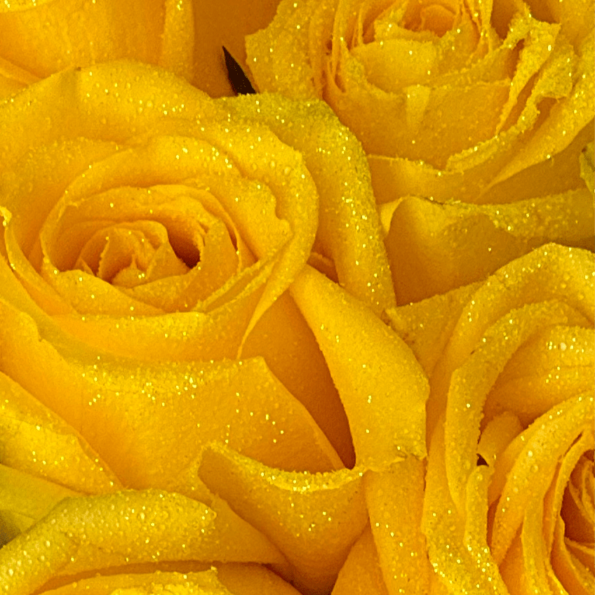 Real Roses With Glitter Glitter Roses – Enchanted Blooms ATL
