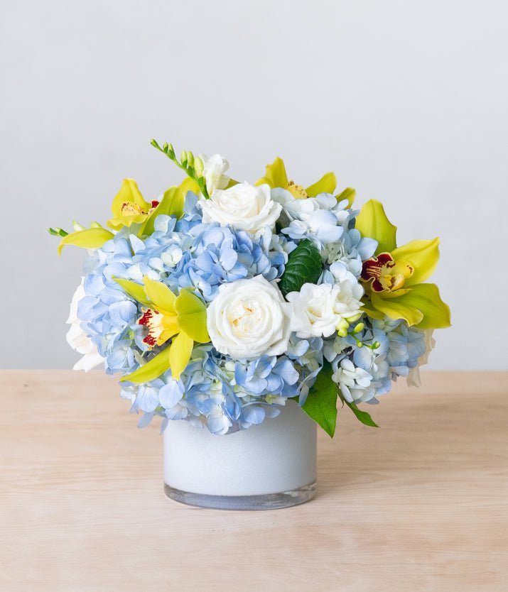 Blue bliss