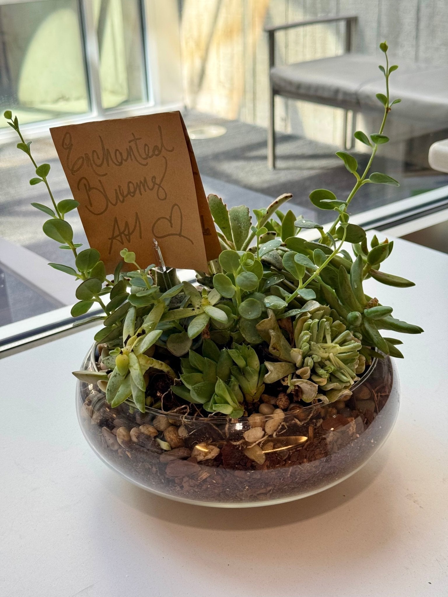 Lush Succulent Garden