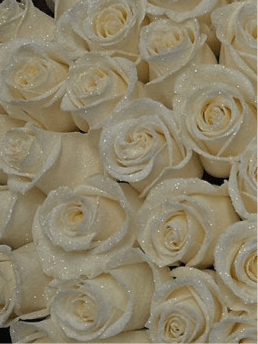 Glitter Roses