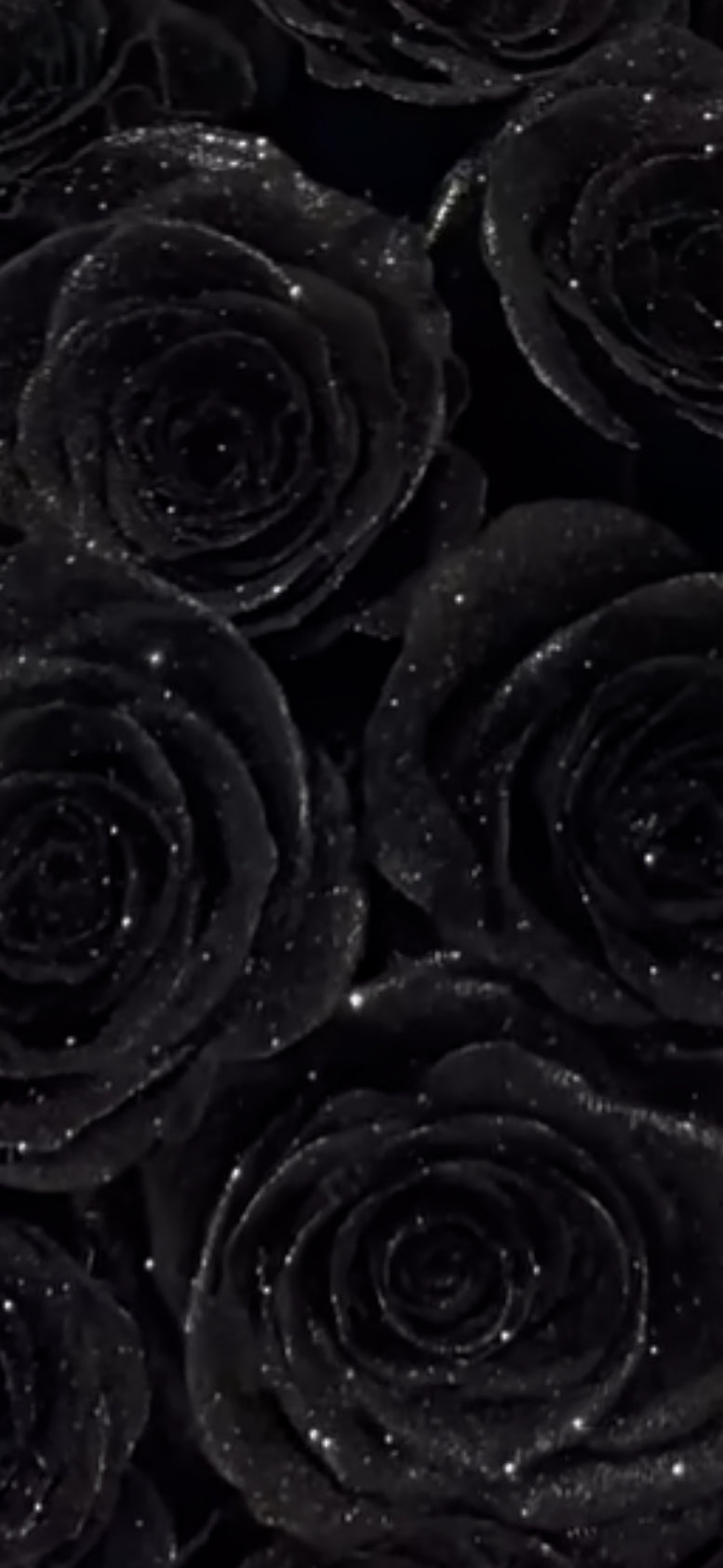 Glitter Roses