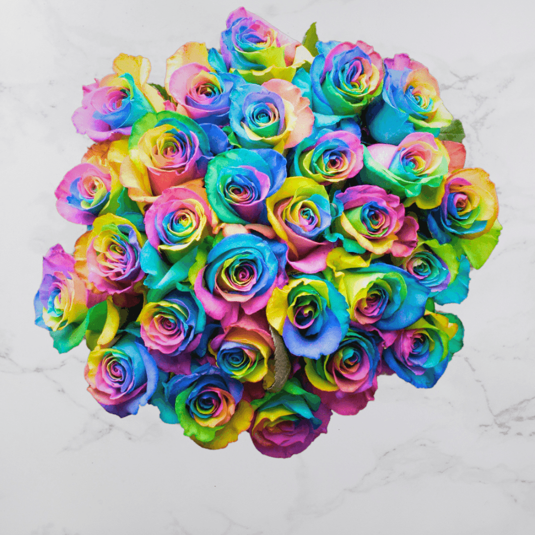 PRIDE Roses