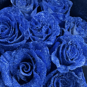 GLITTER ROSES