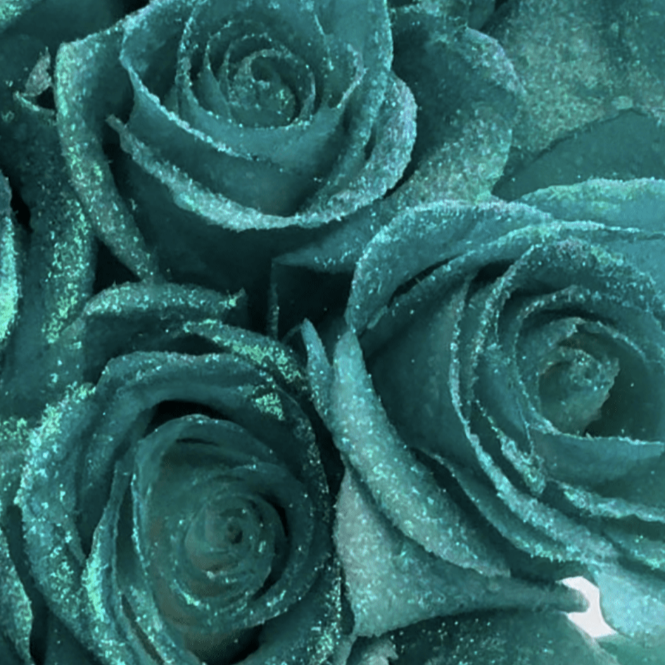 Real Roses With Glitter GLITTER ROSES – Enchanted Blooms ATL