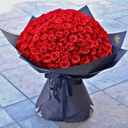 Timeless Roses Wrapped