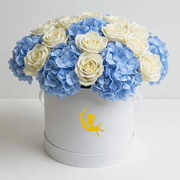 Blue Garden Box
