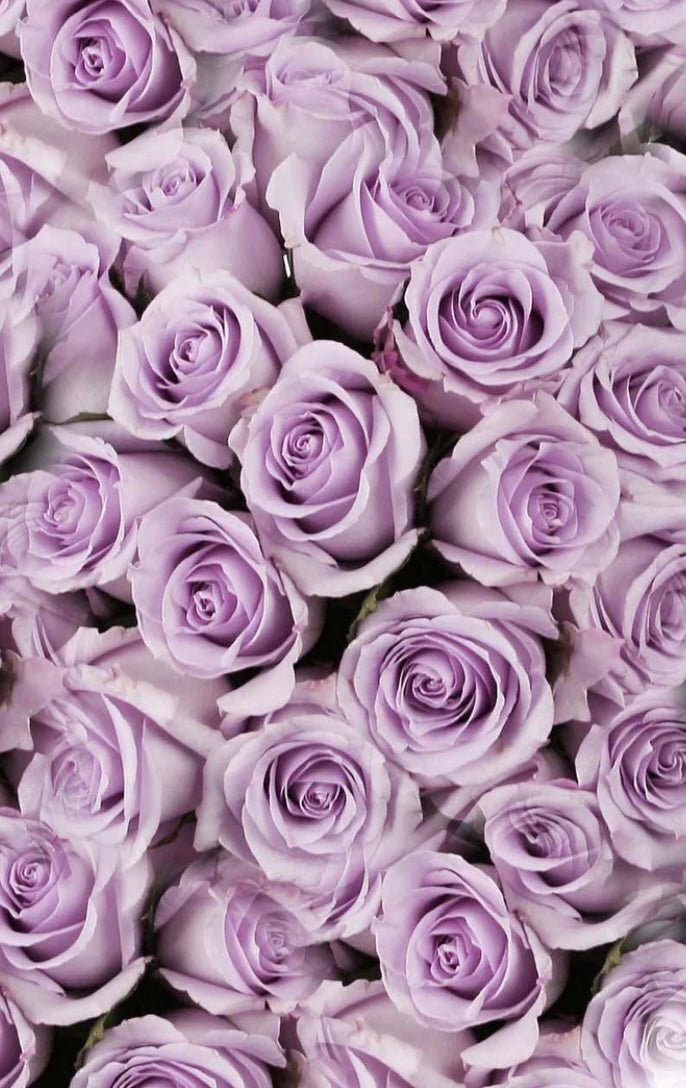 Lavender Luxe