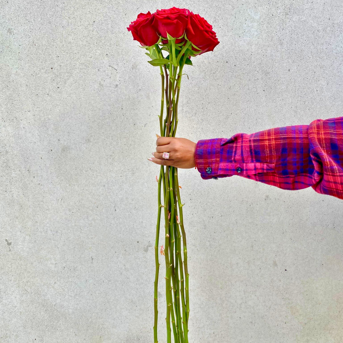 Xl50 Roses XXL LUXE ROSES – Enchanted Blooms ATL