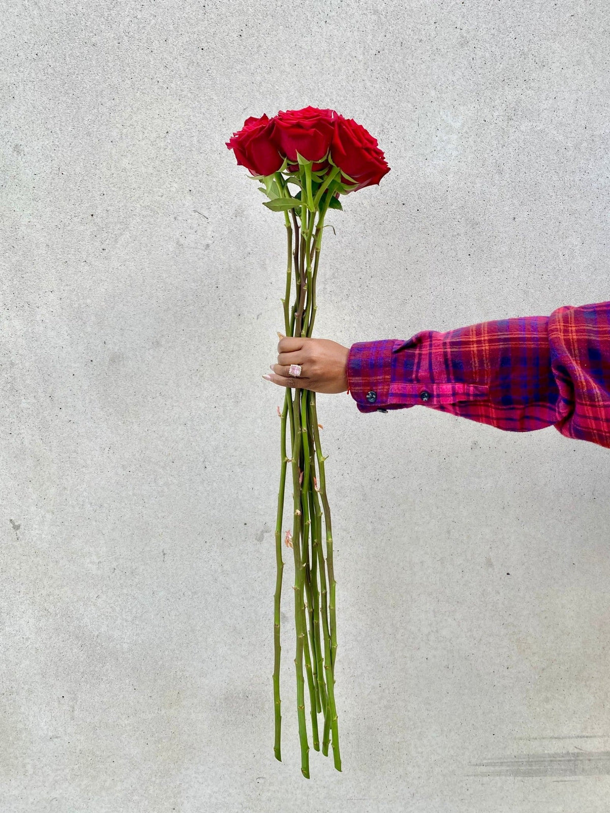 Xl50 Roses XXL LUXE ROSES – Enchanted Blooms ATL