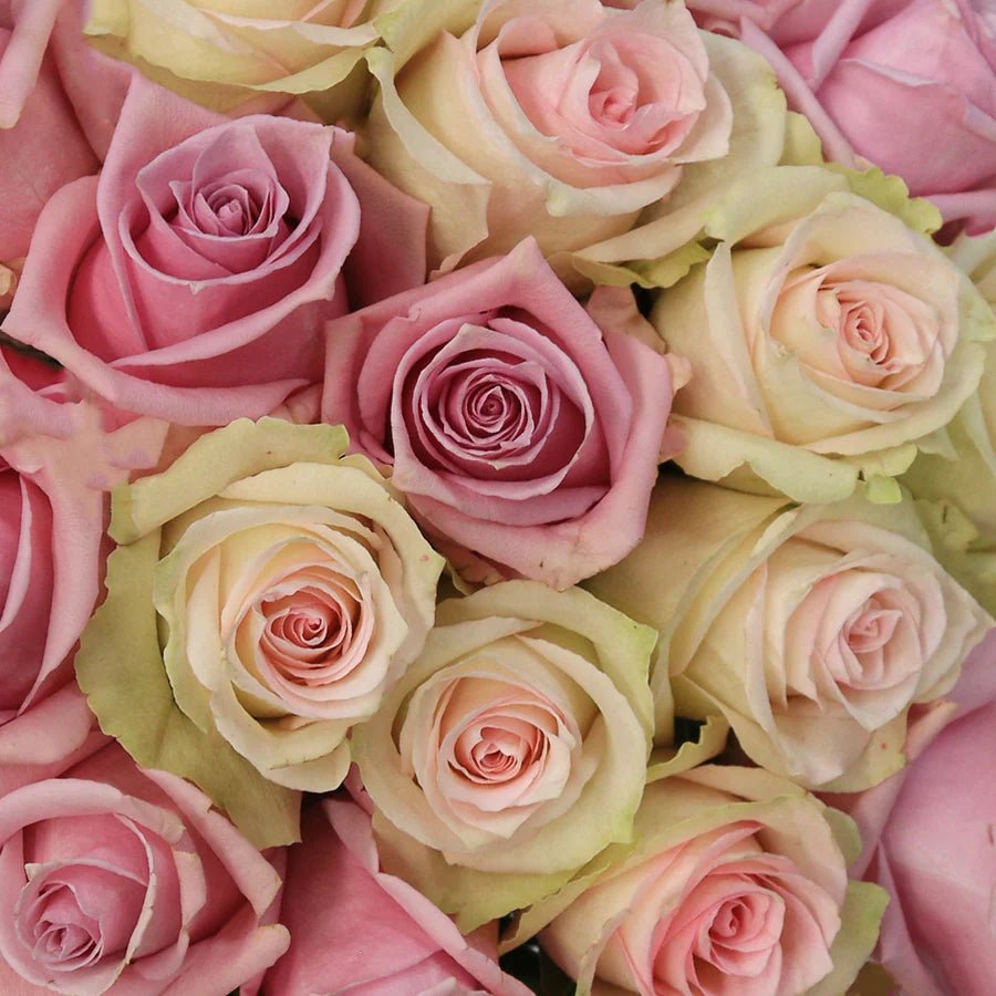 150 ROSES WRAPPED – Enchanted Blooms ATL